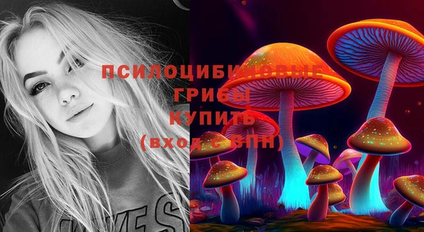 твердый Балахна