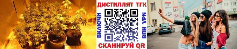 Дистиллят ТГК Wax  Новохопёрск 
