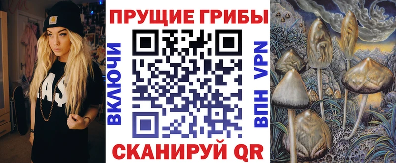 Псилоцибиновые грибы MAGIC MUSHROOMS Новохопёрск