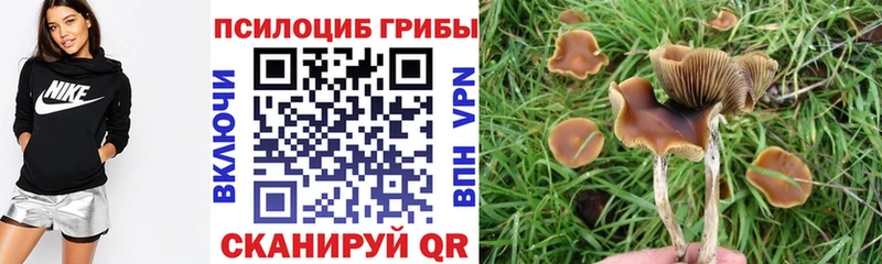 Галлюциногенные грибы GOLDEN TEACHER  Новохопёрск 