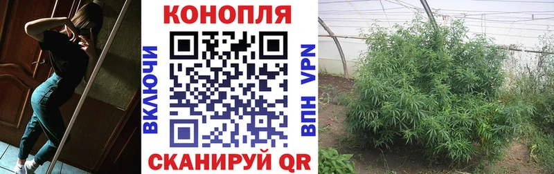 Бошки Шишки Amnesia Новохопёрск
